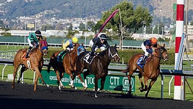 Play Horse Racing Betting at crown88play.com